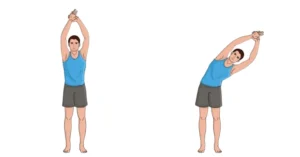 تمرين إطالة عضلة الظهر