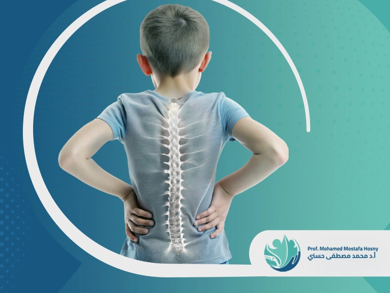 شكل العمود الفقري الطبيعي